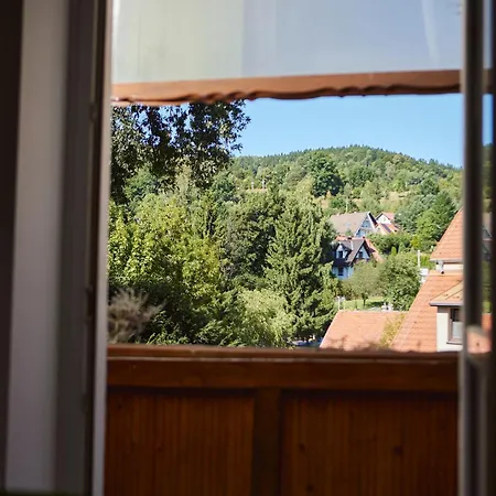 Z Wykuszem Apartment *